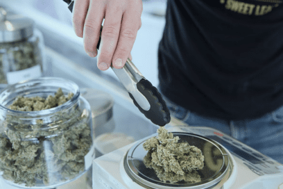 How Easy is It to Buy Weed Online in Canada? 1 buy weed online in canada