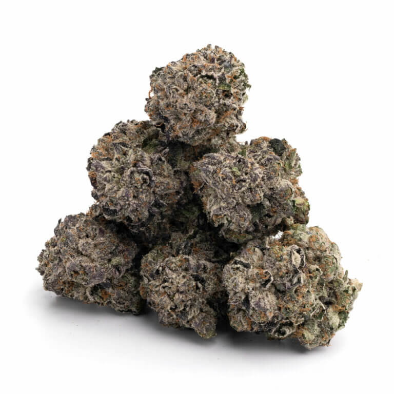 Gastro Pop 3 Gastro Pop 11 768x768 1