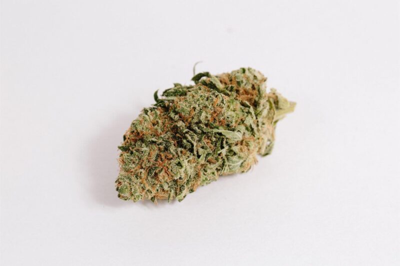 Critical Kush for sale