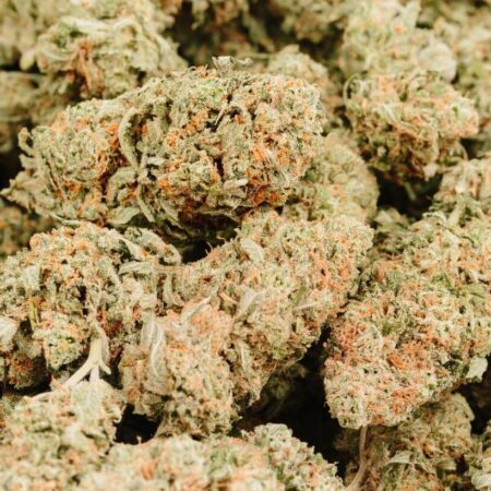 buy Critical Kush online
