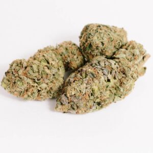 Girl Scout Cookies weed strain