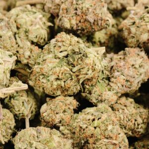 Girl Scout Cookies