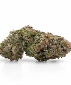 Master Kush (AAAA+) - Bulk Deal