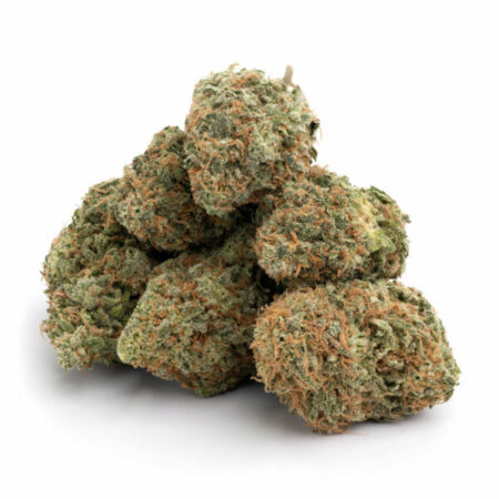 Nuken 5 Nuken 11 600x600 1