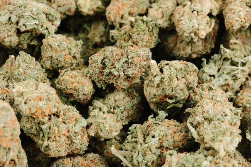 buy nuken weed strain