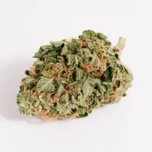 buy OG Shark weed