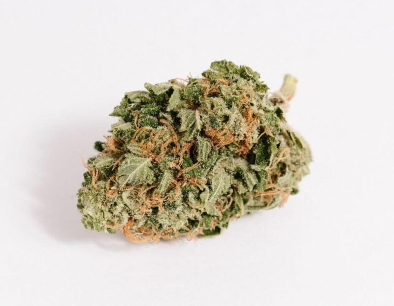 buy OG Shark weed