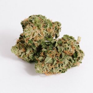 OG Shark for sale