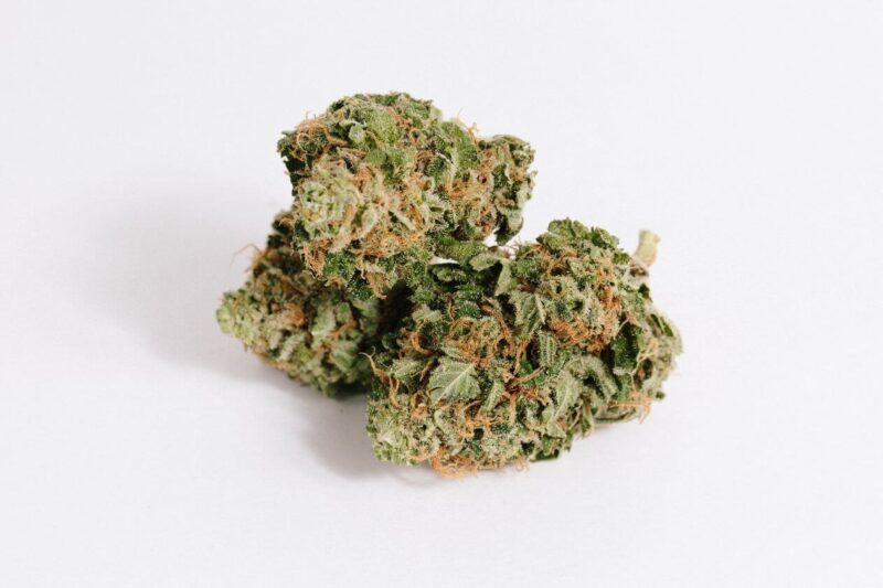 OG Shark for sale