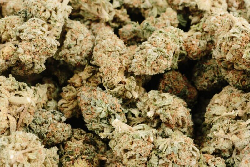 buy marijuana online bc