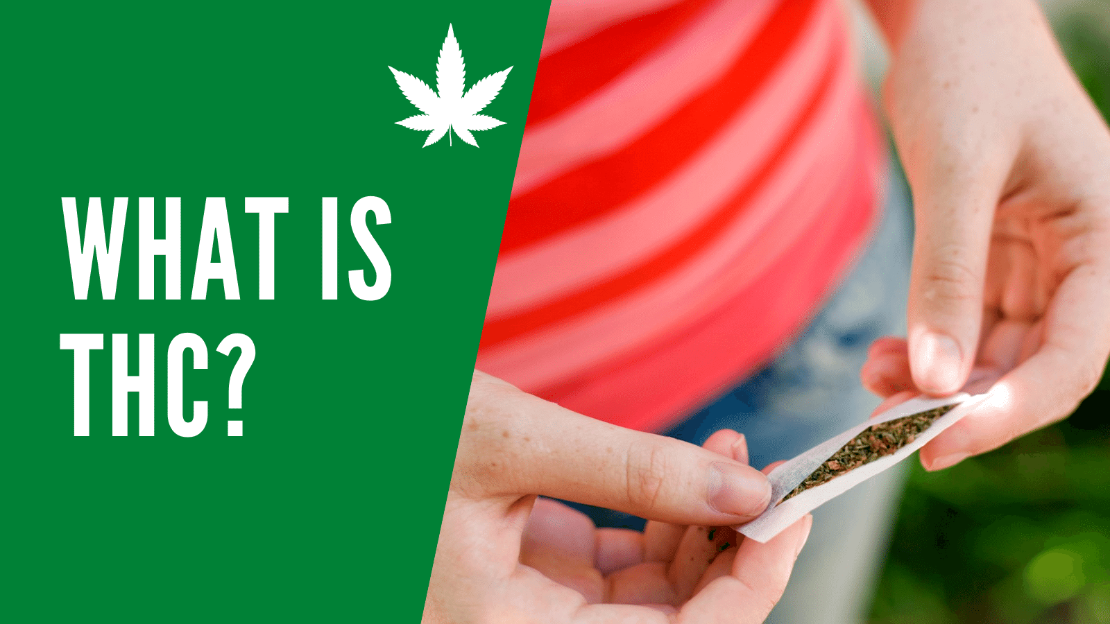 What is THC?