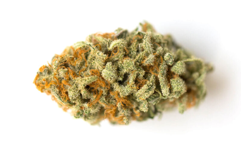 Orange Cookies strain