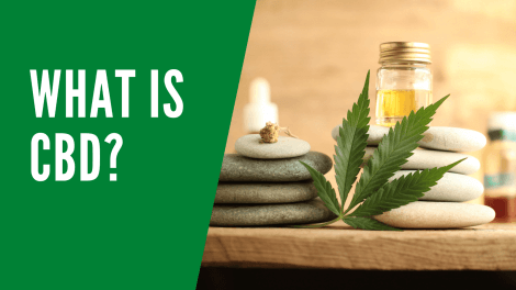 What is CBD? 8 What is CBD?