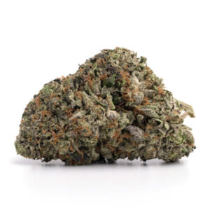 medical marijuanas canada online