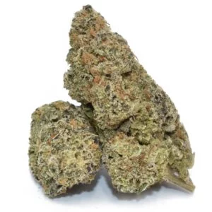 order bc bud online