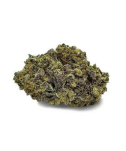 buy Purple Space Cookie strain online