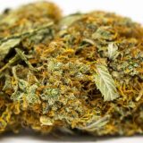 Buy White Lightning strain Online Canada