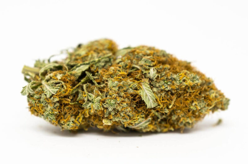 Buy White Lightning strain Online Canada
