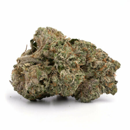 White Rhino
