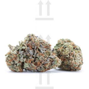 Buy Sunshine Coast Pink Kush strain online
