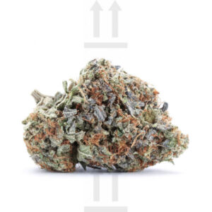Sunshine Coast Pink Kush strain