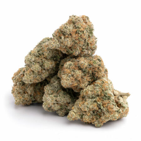 Blueberry 5 Blueberry 11 600x600 1