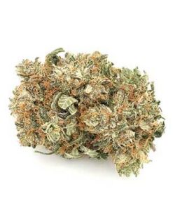 Buy Weed Online Vancouver BC 6 Blueberry 4OZ