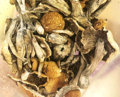 Buy Weed Online Midland, Ontario 4 Shrooms