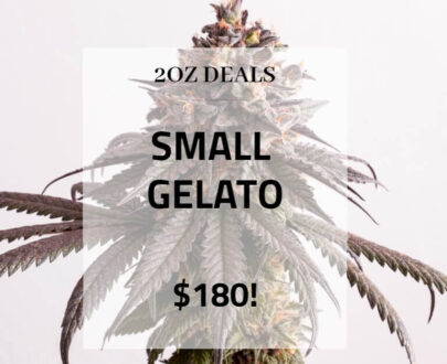 Shop Weed Online British Columbia, Canada 6 gelato 2