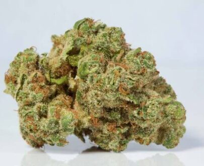 Shop Weed Online British Columbia, Canada 8 lightshade blueberry headband strain 1 600x400 1