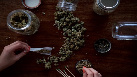medical cannabis for mental health