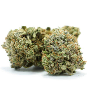 Grand Daddy Purple