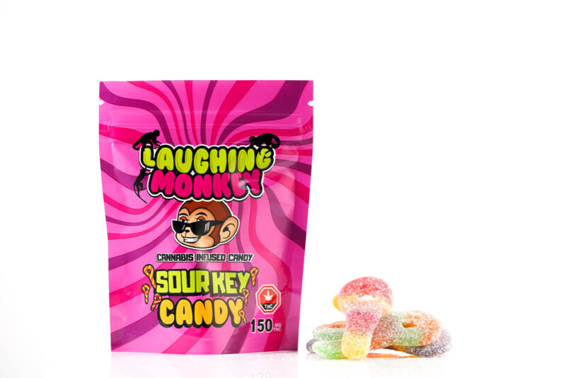 Laughing Monkey - Image 4