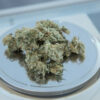 Free 1g Flower 2 photo 1457573526299 599d0da92f88