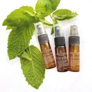 Organic Essential Oil Mask Spray