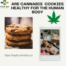 Are Cannabis Cookies Healthy for The Human Body? 2 Cannabis Cookies