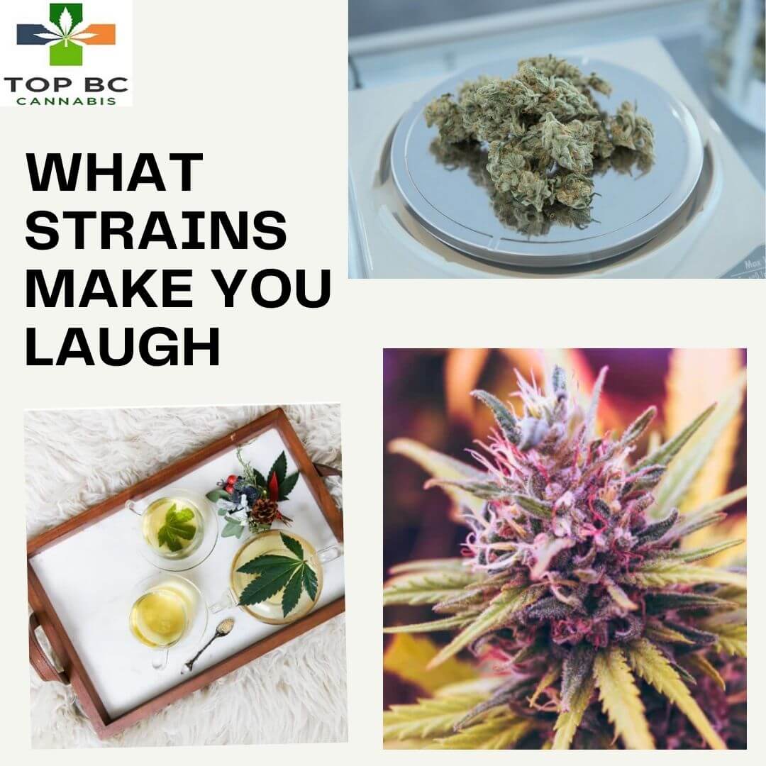 WHAT STRAINS MAKE YOU LAUGH