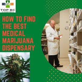 How to Find the Best Medical Marijuana Dispensary 5 BEST MEDICAL DISPENSARY