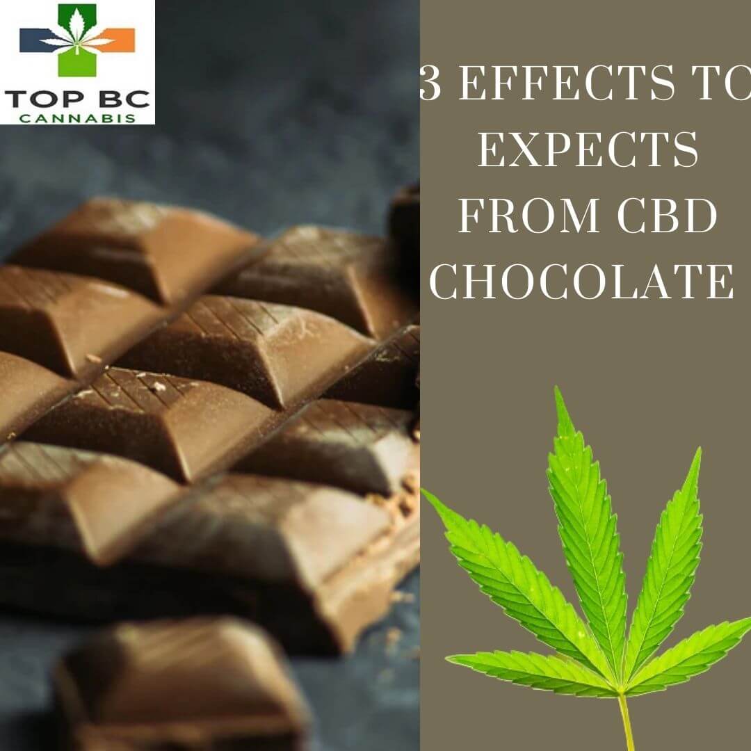 CBD CHOCOLATE
