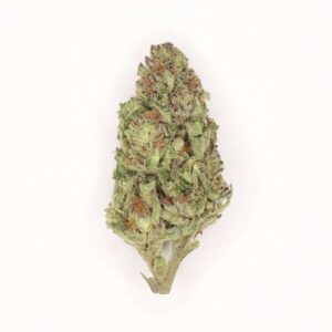 Himalaya Blue Diesel Auto