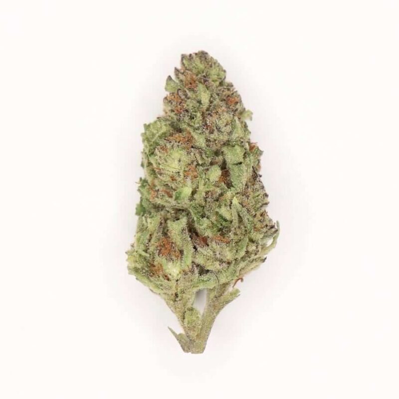 Himalaya Blue Diesel Auto
