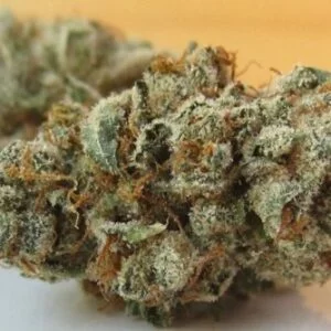 King Louis XIII