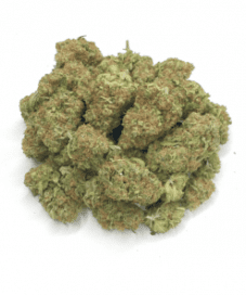 Is Cannabis Addictive? Depends on Who You Ask 3 sativa