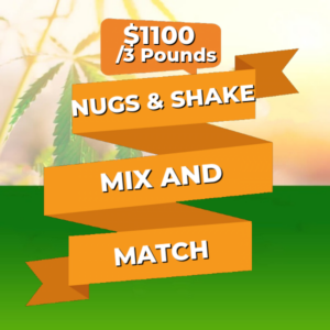 Nugs and Shakes - Bulk Deal