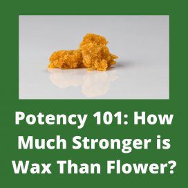 Potency 101: How Much Stronger is Wax Than Flower? 2 wax