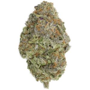 Nuken (AAAA) - Bulk Deal
