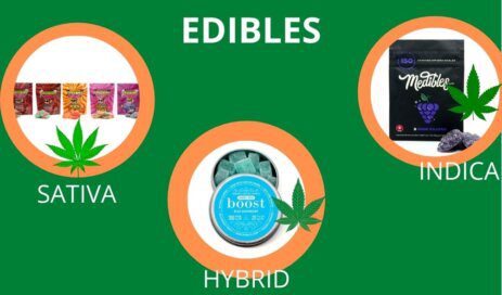 Is Sativa or Indica Better for Edibles? 2 buy Edibles online canada