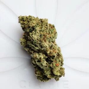 buy weed pink gorilla