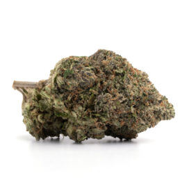 Top Euphoric Weed Strains for Uplifting and Feel-Good Experiences 7 Pink Gorilla