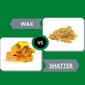 Why is Shatter More Expensive than Wax? 3 buy shatter online canada